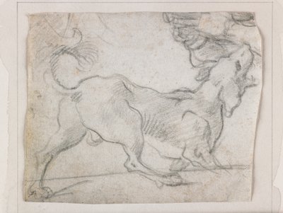 Chien aboyant, vu de derrière - Italian School