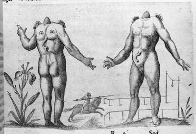 Différents types de monstres humains : un homme sans tête. Gravure de « De monstrorum natura, causis et differentiis » par Fortunio Liceti, 1646 - Italian School