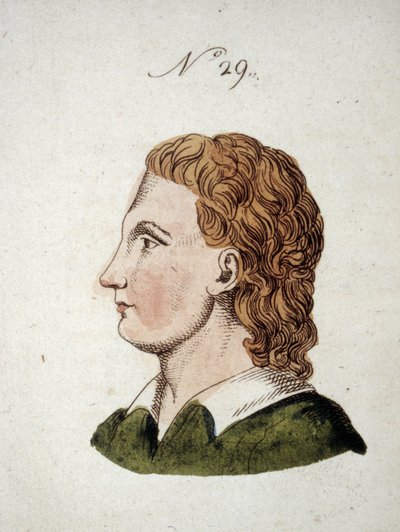 Figure numéro 29 représentant le visage d