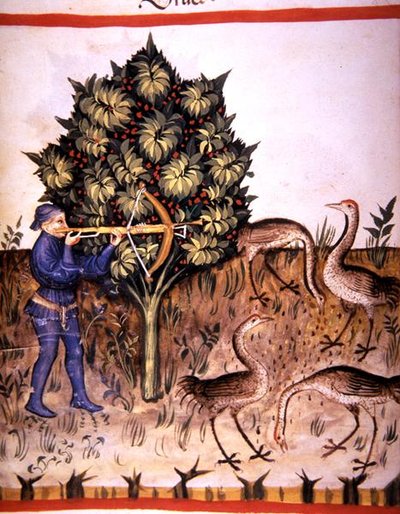 Fol.70v Chasse à la grue, illustration de 