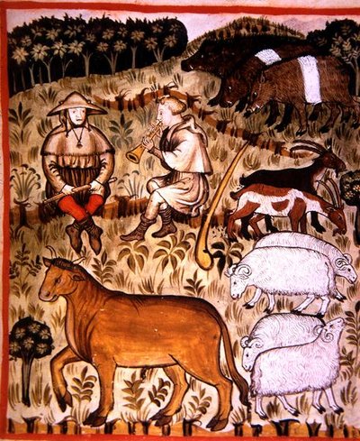 Fol.71r Animaux castrés, illustration de 