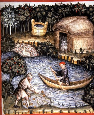 Fol.82r Poisson frais, illustration de 