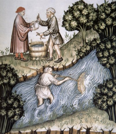 Pêche, illustration du Tacuinum Sanitatis Codex Vindobonensis - Italian School