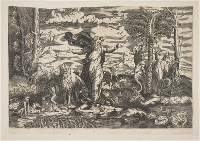 Dieu créant les animaux, c.1550 - Italian School