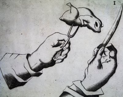 Comment découper un oiseau, Illustration de Li tre trattati di messer Mattia Giegher bavaro di Mosburc, Trinciante dell