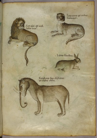 Illustration d