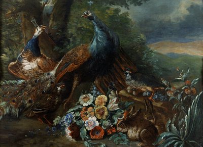 Paysage avec paon et gibier - Italian School