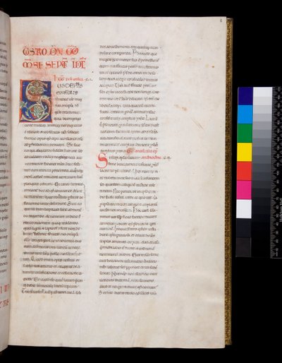 Ms 143. Grégoire le Grand, Registrum Epistolarum, f.8r. Initiale décorée [S] avec remplissage de feuilles de vigne blanches et fleurons - Italian School