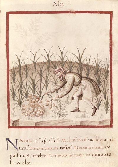 Récolte d