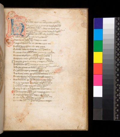 Ms 315. Horace, Ars Poetica et Epistulae, f.1r. Initiale décorée [N] en remplissage damassé bleu et rouge et travail de plume environnant en rouge - Italian School