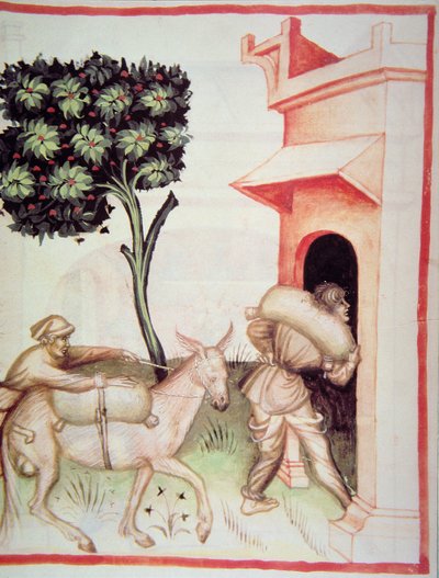 Huile d