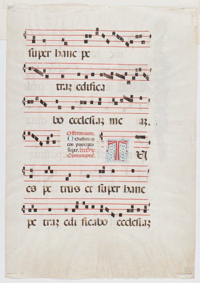 Page d