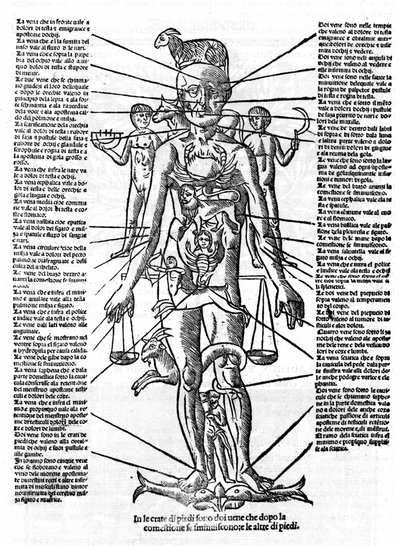 Planche représentant un corps humain avec la position de tous les organes et les signes du zodiaque correspondants par leurs influences astrologiques. Planche tirée de "Recetoro di Galeno optio e probato a tutte le infirmita che accadeno a huomini e a donn - Italian School