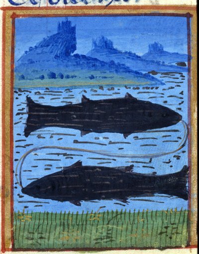 Signe des Poissons. Horoscope italien, milieu du XVe siècle - Italian School