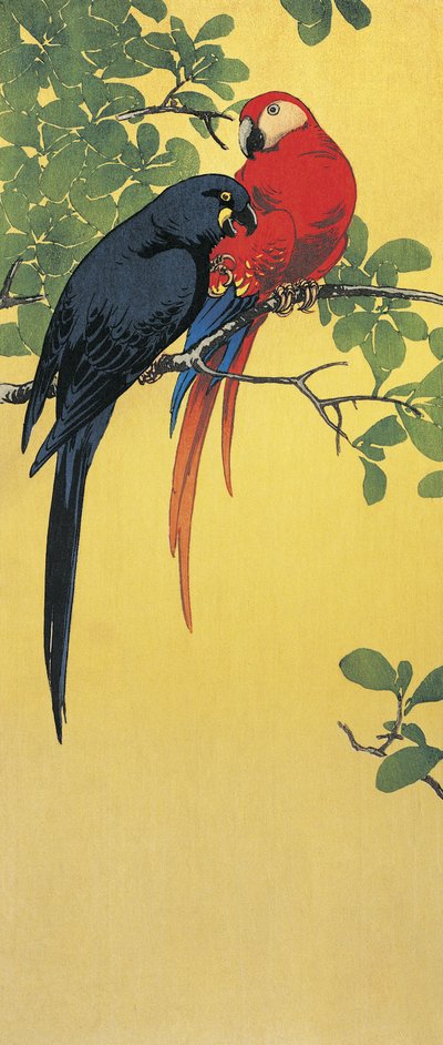 Gros plan de deux perroquets perchés sur une branche - Ito Sozan