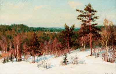 Hiver - Vue sur la forêt - Ivan Fedorovich Choultse
