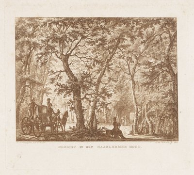 Carrosse et promeneurs dans le Haarlemmerhout - Izaak Jansz. de Wit