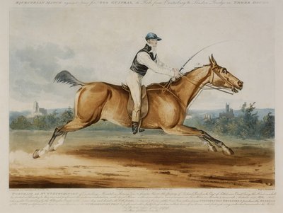 Portrait de M. William Hutchinson sur 