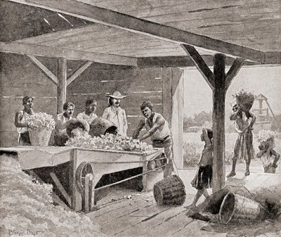 Esclaves travaillant avec une égreneuse de coton du 19ème siècle dans une plantation dans un état du sud des États-Unis d