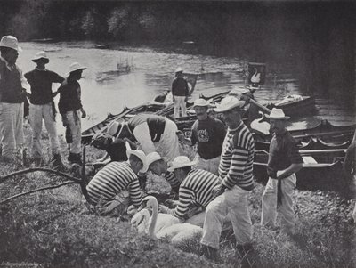 Swan upping sur la Tamise, marquage - J. Benjamin Stone