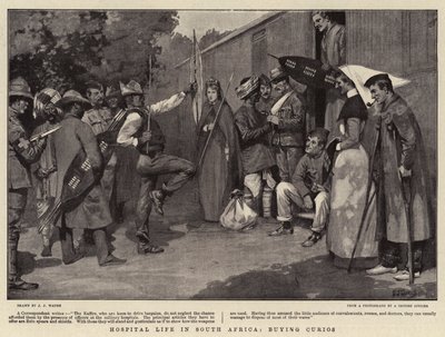 La vie à l