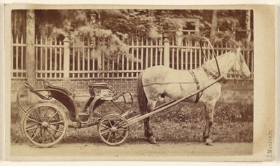 [Petite voiture avec cheval] - J. Monstein