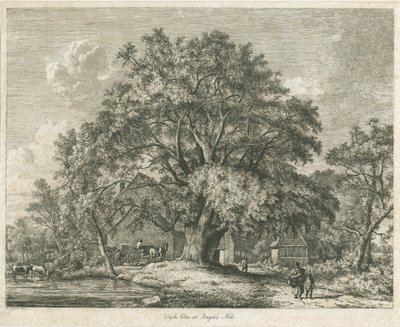 Blithfield - Orme champêtre - Jacob George Strutt