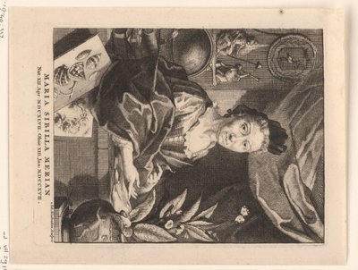 Portrait de Maria Sibylla Merian - Jacob Houbraken