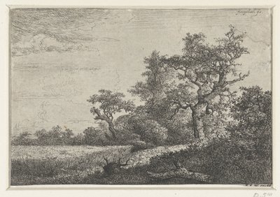 Le Champ de blé - Jacob van Ruisdael