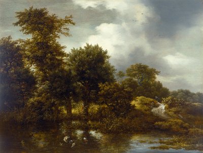 Paysage boisé avec un étang, fin des années 1640 - Jacob van Ruisdael