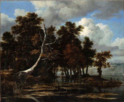 Chênes sur les berges d