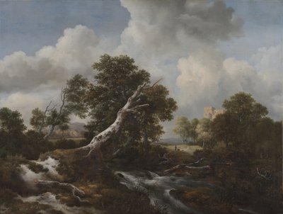 Petite cascade dans un paysage boisé avec un hêtre mort, vers 1660-70 - Jacob van Ruisdael