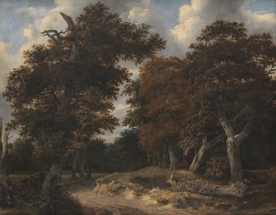 Route à travers une forêt de chênes - Jacob van Ruisdael