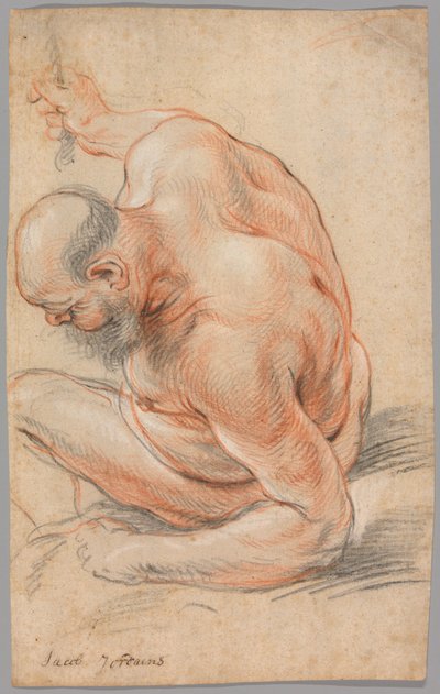 Vieil homme nu assis, appuyé sur son avant-bras, face à gauche - Jacob Jordaens