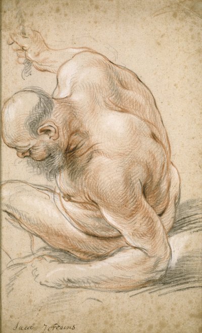 Vieil homme nu assis, appuyé sur son avant-bras, tourné vers la gauche, vers 1640 - Jacob Jordaens