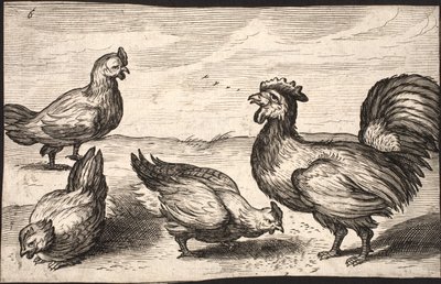 Un coq avec trois poules - Jacob Matham