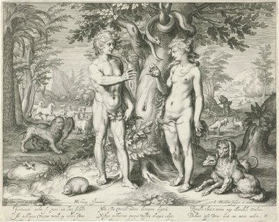 Adam et Ève au paradis - Jacob Matham