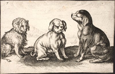 Trois petits chiens - Jacob Matham