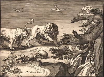 Deux lions dans la nature - Jacob Matham