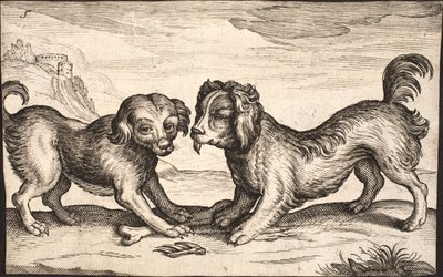 Deux petits chiens - Jacob Matham