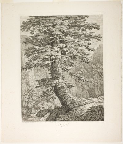 Sapin - Jacob Philipp Hackert