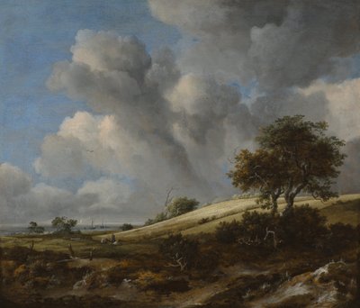 Un champ de maïs avec le Zuiderzee en arrière-plan, vers 1660 - Jacob van Ruisdael