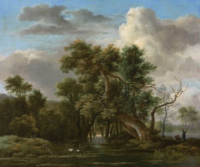 Une piscine en forêt - Jacob van Ruisdael
