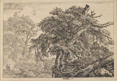  - Jacob van Ruisdael