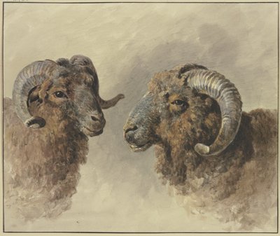 Deux moutons - Jacob van Strij