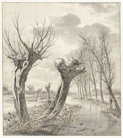 Paysage d