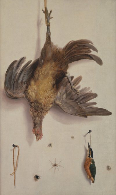 Une poule et un martin-pêcheur suspendus à une ficelle - Jacobus Biltius