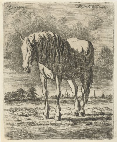 Cheval blanc debout - Jacobus Cornelis Gaal