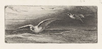 Mouettes - Jacobus Hermanus Otterbeek