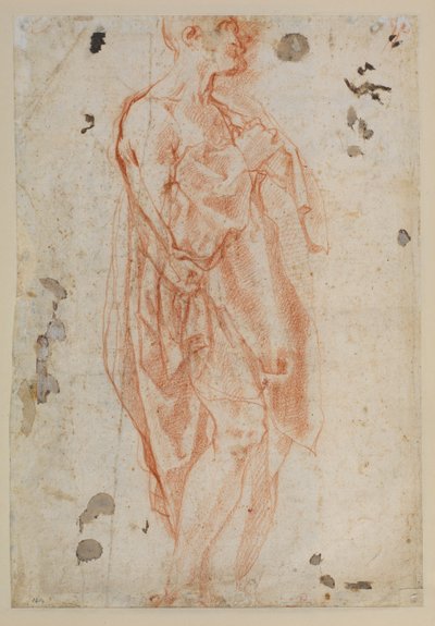 Étude pour Saint Jérôme - Jacopo Pontormo